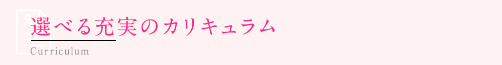 選べる充実のカリキュラム 