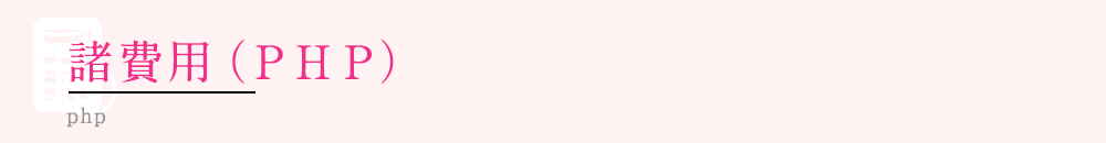 諸費用（ＰＨＰ）