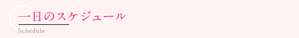 一日のスケジュール