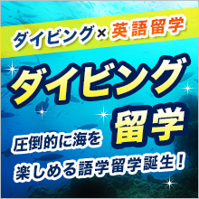 ダイビング留学