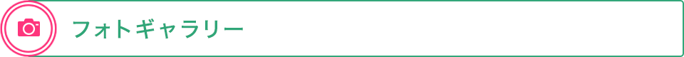 フォトギャラリー