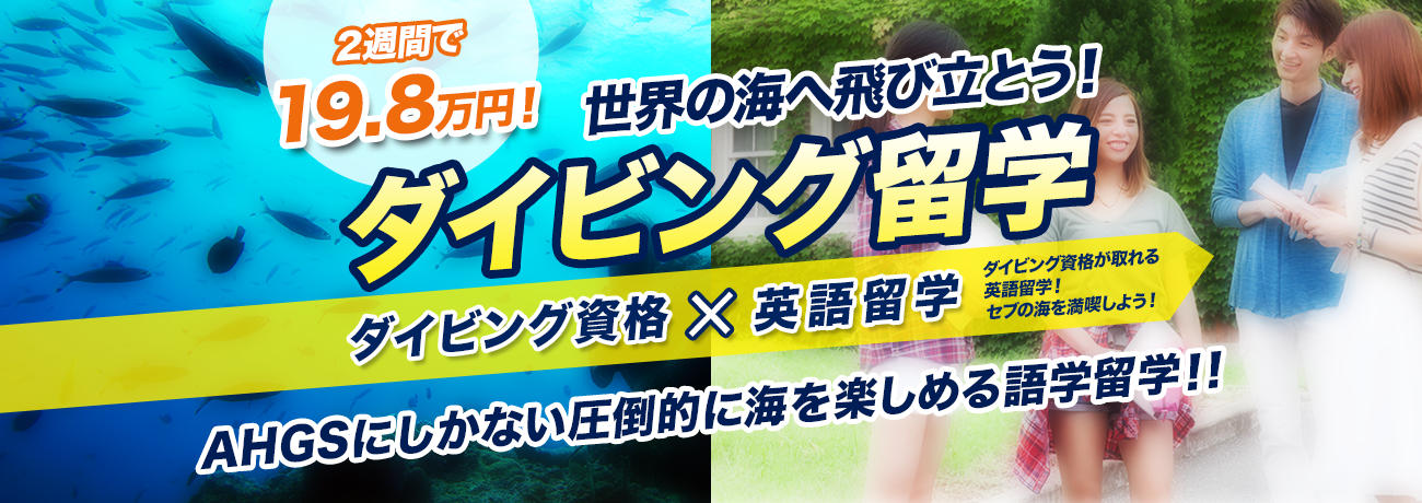 ダイビング留学