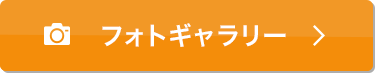 フォトギャラリーページボタン